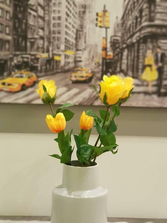 Apartment 'golden Aurora' With Elegant Style *